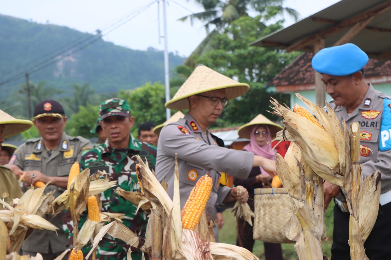 Hadiri Panen Raya Jagung, Kapolres Trenggalek Ajak Gen Z Jadikan Petani Sebagai Profesi Menarik dan Punya Nilai Ekonomi Tinggi